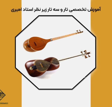 آموزش تخصصی تار و سه تار زیر نظر استاد امیری