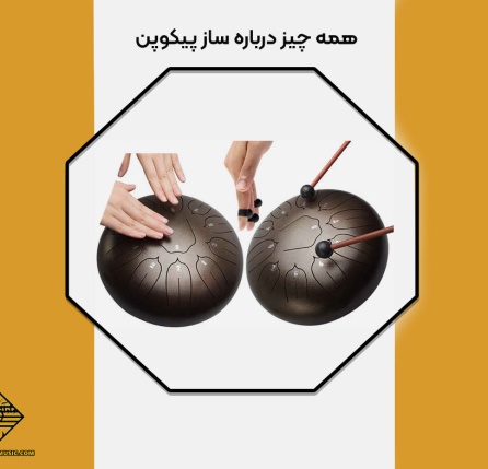 همه چیز درباره ساز پیکوپن (Pico Pan)