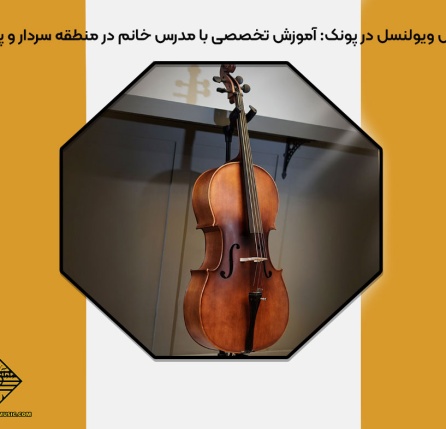 کلاس ویولنسل در پونک