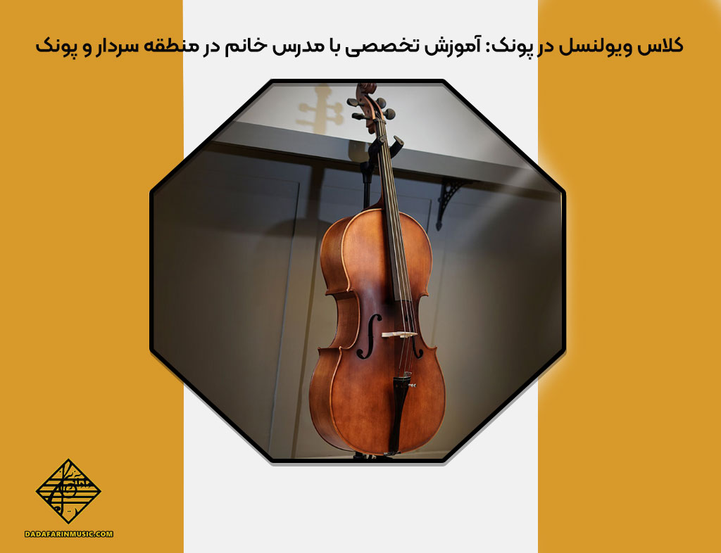 کلاس ویولنسل در پونک